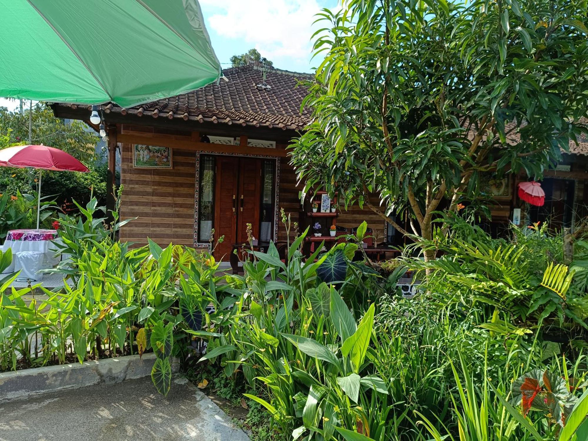 Appartement Gosela Bali à Munduk Extérieur photo
