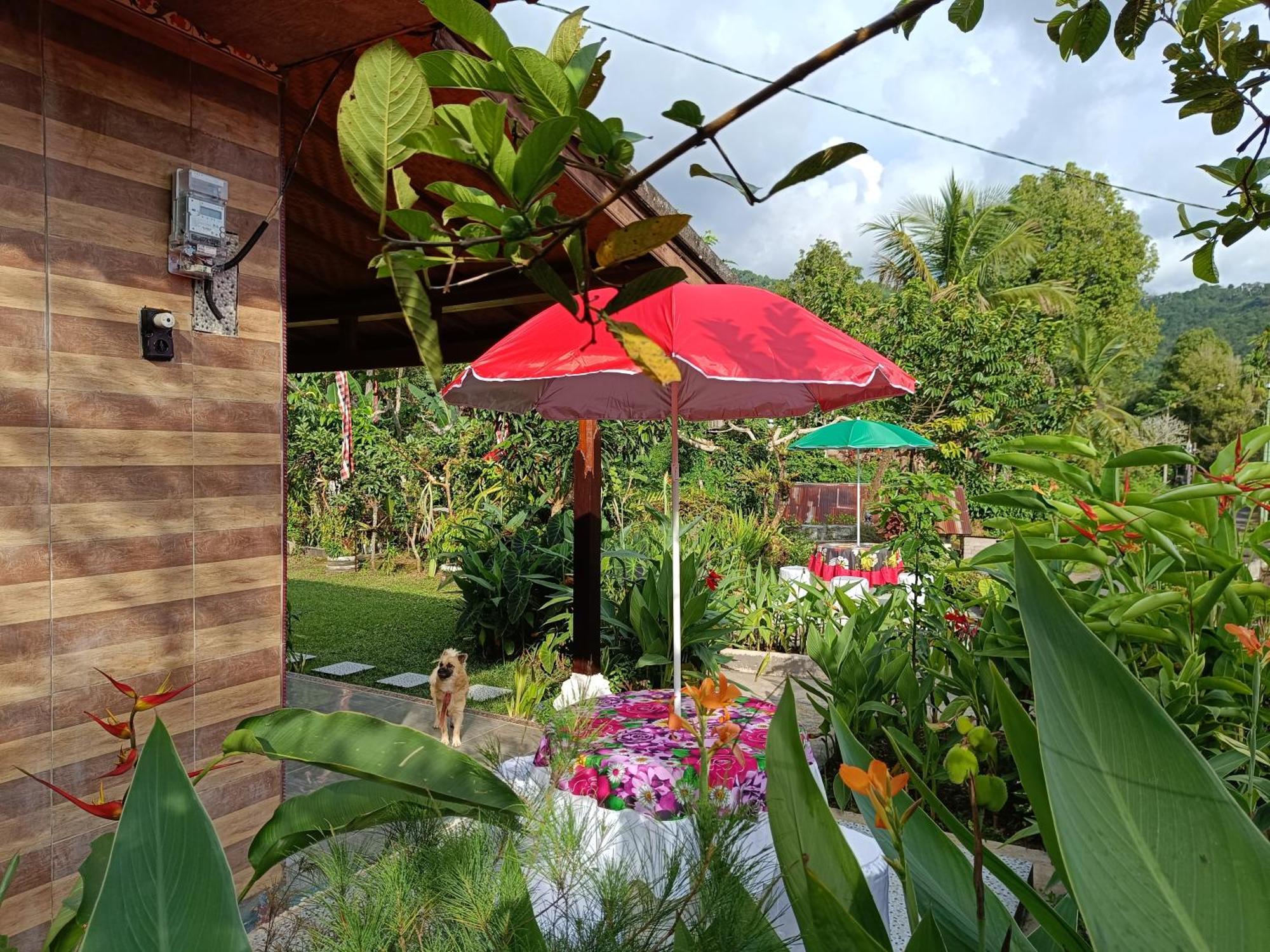 Appartement Gosela Bali à Munduk Extérieur photo